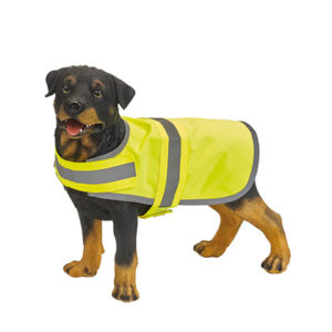 Veste pour chien