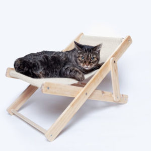 Chaise d'Animaux de Compagnie