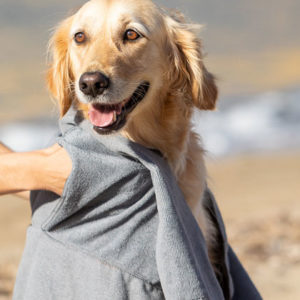 Serviette Animaux de Compagnie