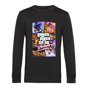 Hoodie Classique Homme – VICE VALAIS